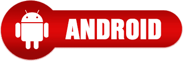 asset 20